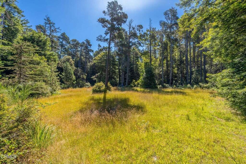 Land in Fort Bragg, California, United States 1 - 18643029