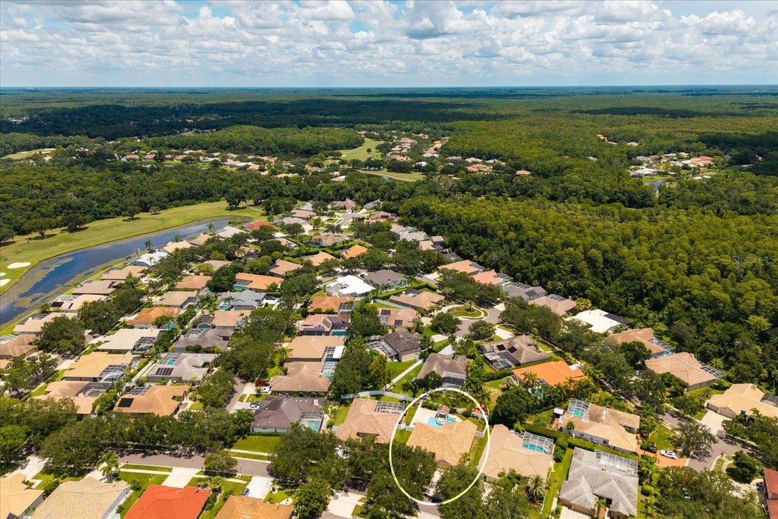 House in Oldsmar, Florida, United States 2 - 18646317