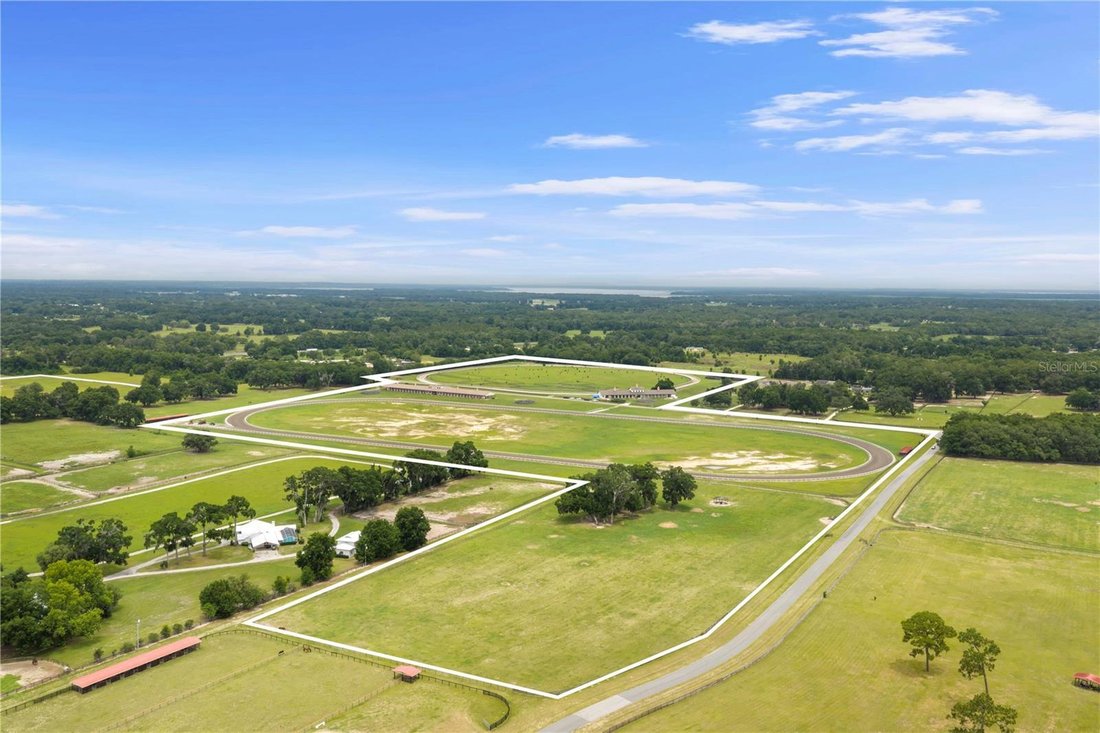 Farm Ranch in Reddick, Florida, United States 4 - 18642799