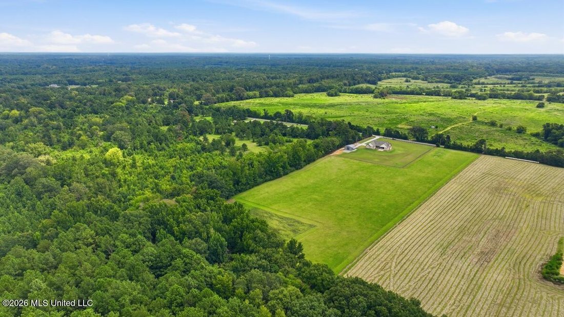 House in Canton, Mississippi, United States 3 - 18645832