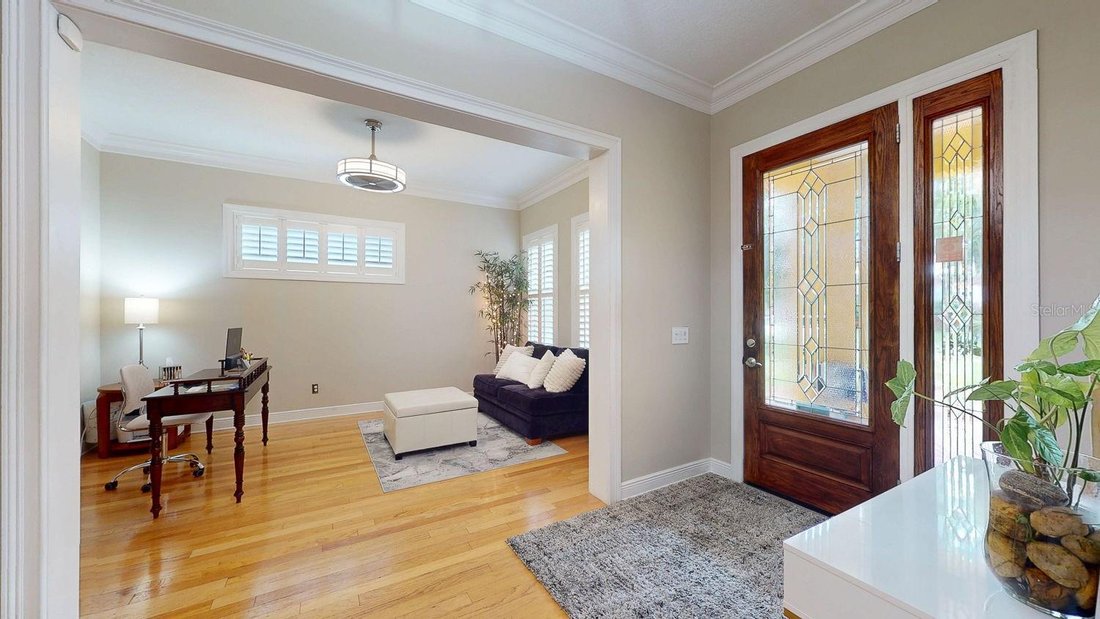 House in Tampa, Florida, United States 3 - 18646341