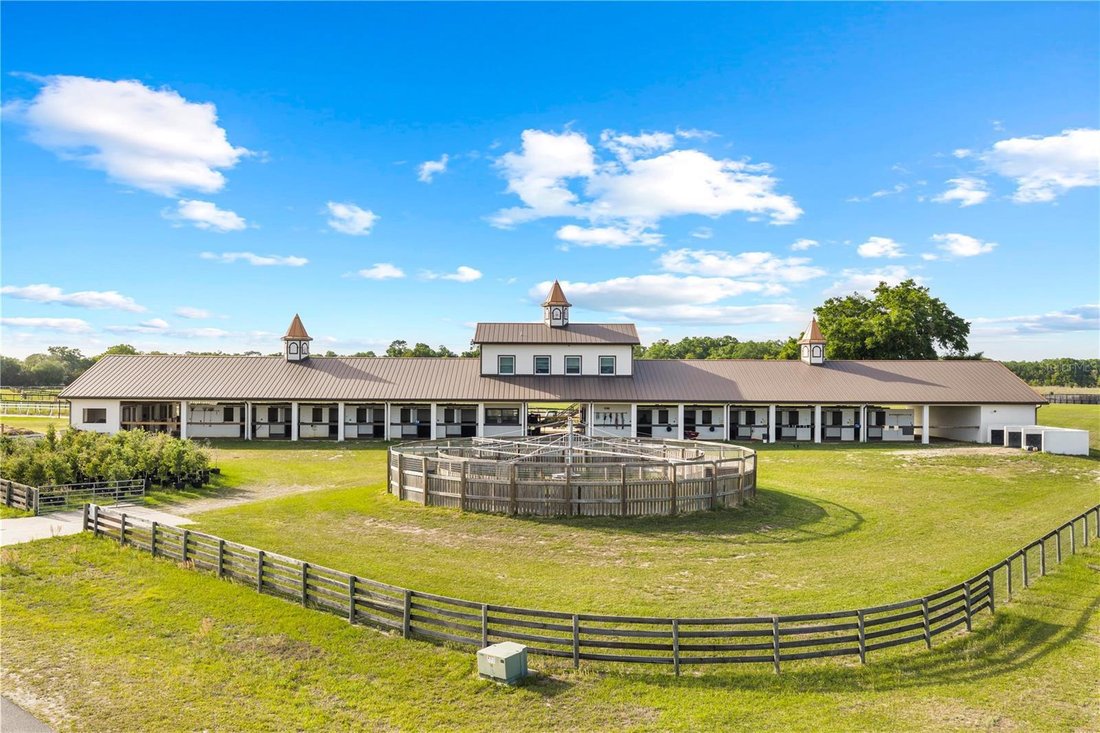 Farm Ranch in Reddick, Florida, United States 2 - 18642799