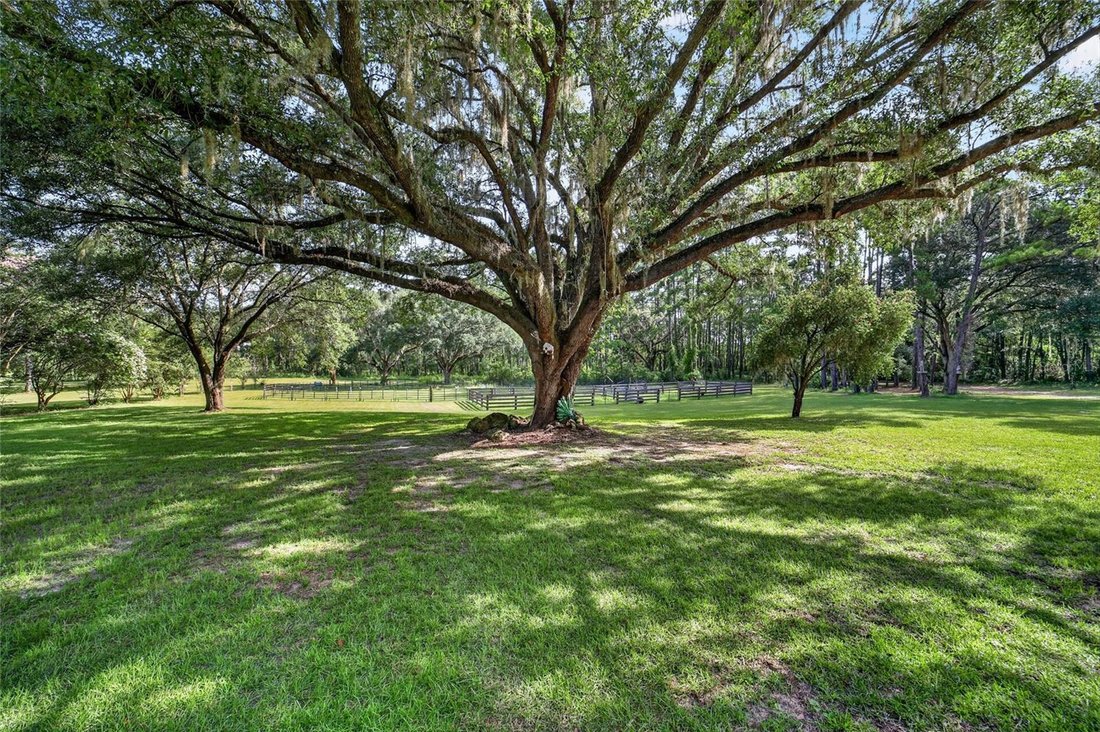 Casa a Ocala, Florida, Stati Uniti 4 - 18642616
