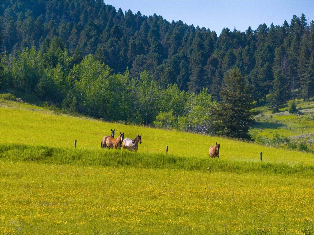 Land in Bozeman, Montana, United States 2 - 18643139