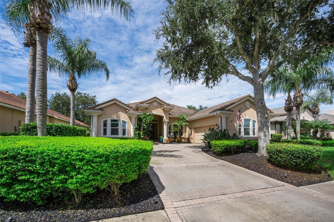 House in Trinity, Florida, United States 1 - 18646323