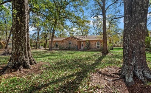 House in Conroe, Texas, United States 1