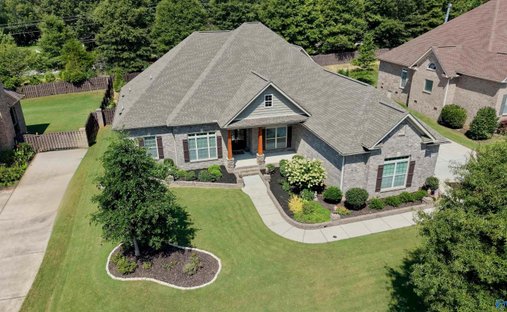 House in Madison, Alabama, United States 1