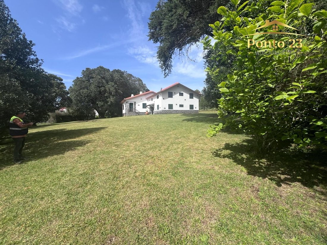 Villa in Santo Antonio da Serra, Madeira, Portugal 4 - 14134526
