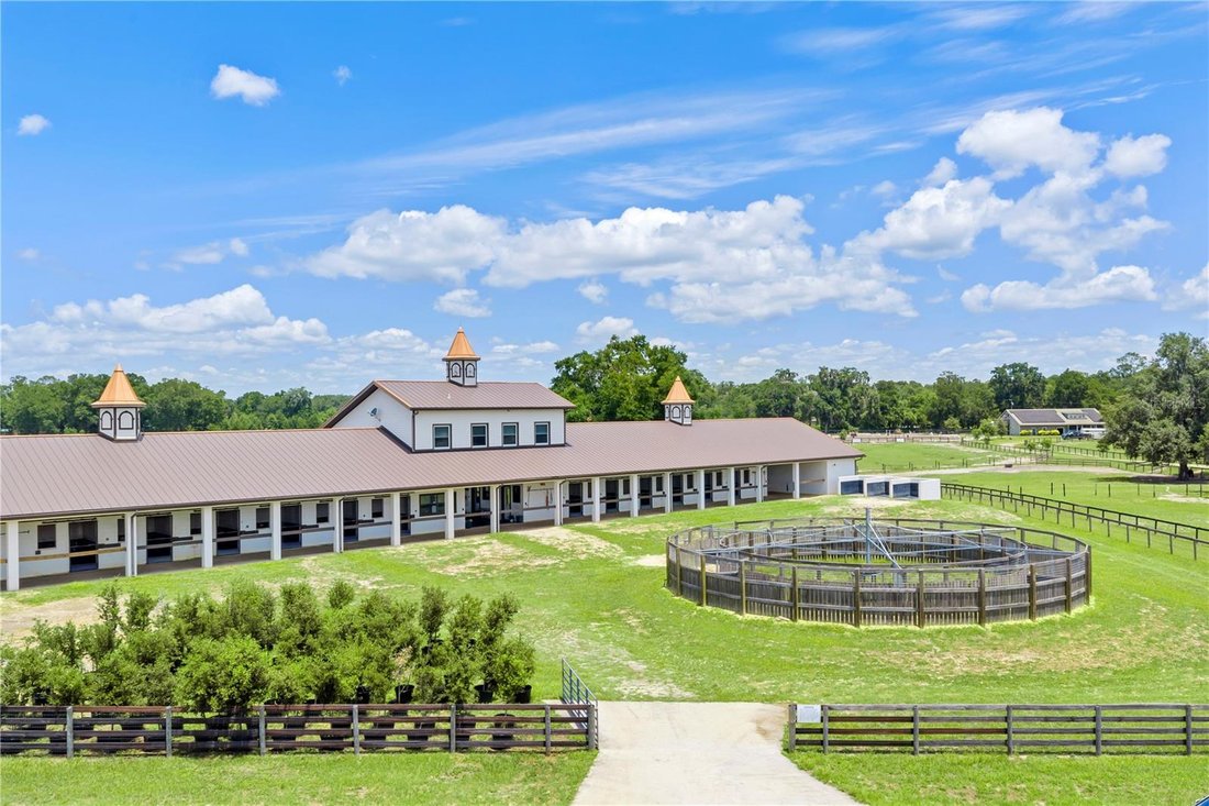 Farm Ranch in Reddick, Florida, United States 3 - 18642799