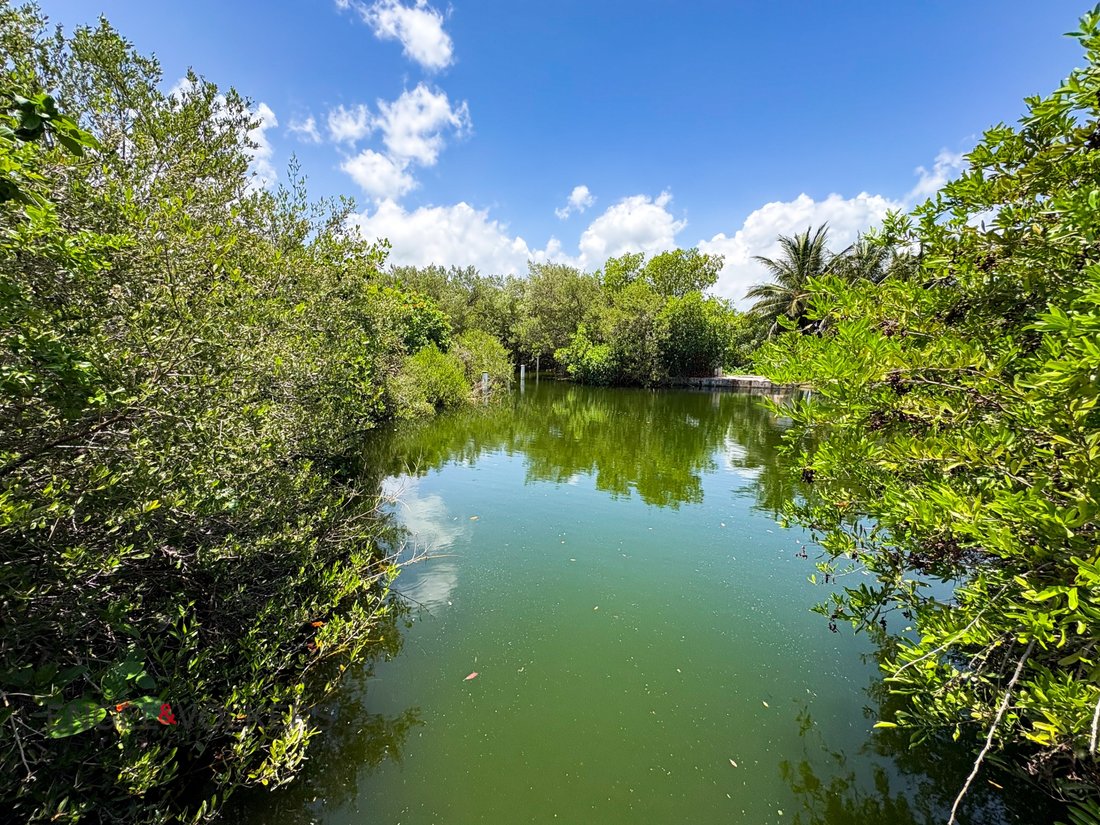 Land in Sisal, Mexico 4 - 18643387