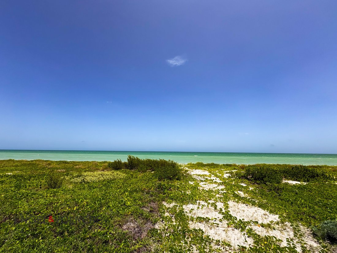 Land in Sisal, Mexico 5 - 18643387