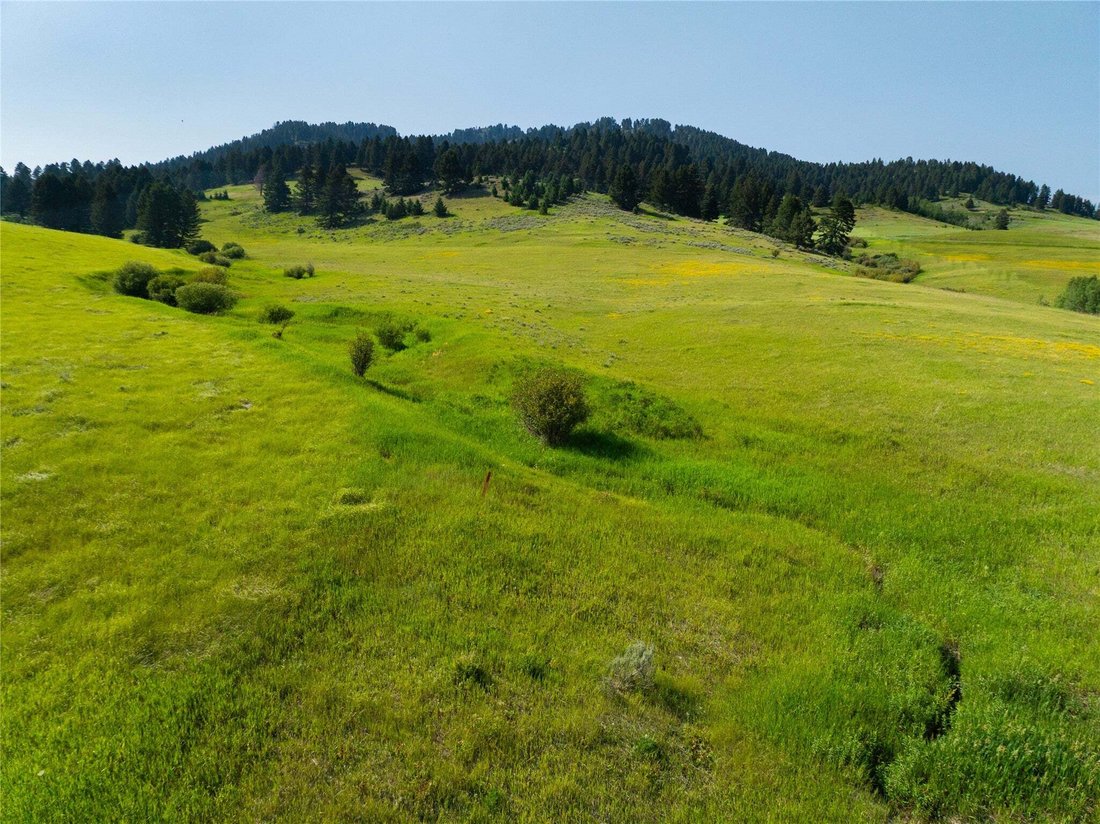 Land in Bozeman, Montana, United States 1 - 18643139