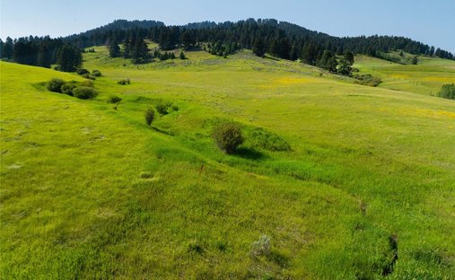 Terreno a Bozeman, Montana, Stati Uniti 1