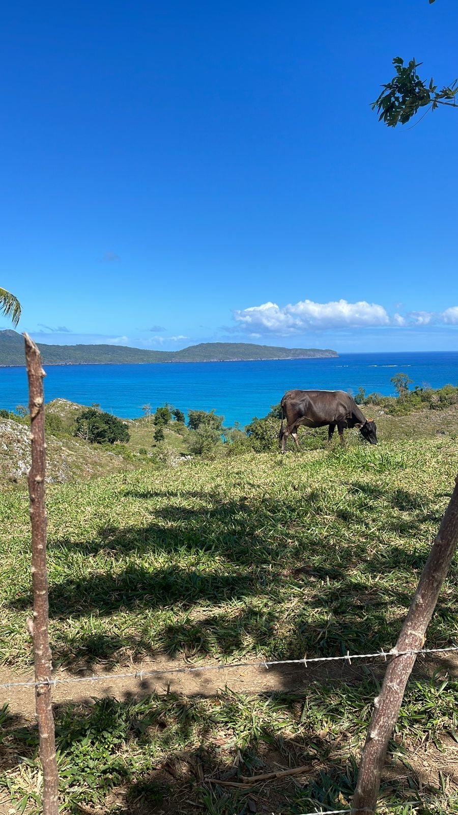 Land in Las Galeras, Samaná Province, Dominican Republic 3 - 18643242