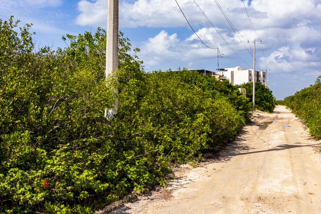 Land in Sisal, Mexico 2 - 18643387