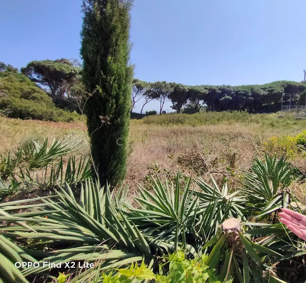 Land in Alcabideche, Lisbon, Portugal 5 - 13444090