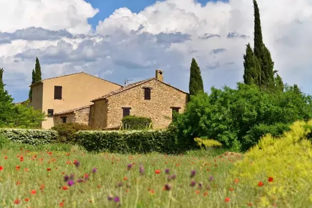 Estate in Forcalquier, Provence-Alpes-Côte d'Azur, France 5 - 16115999