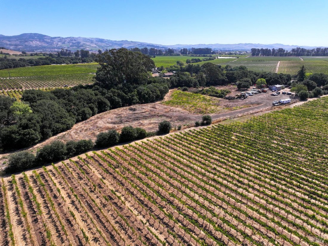 House in Napa, California, United States 4 - 18643376