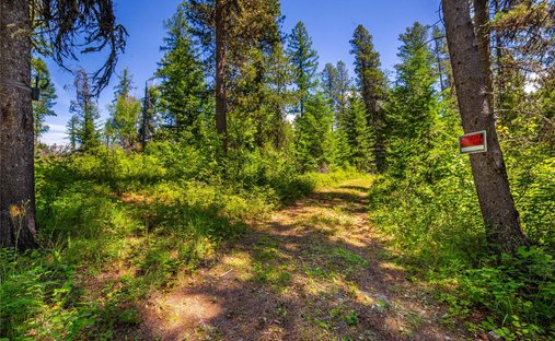Land in West Glacier, Montana, United States 1