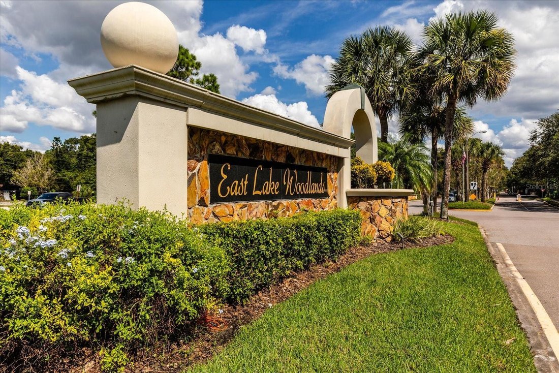 House in Oldsmar, Florida, United States 3 - 18646317