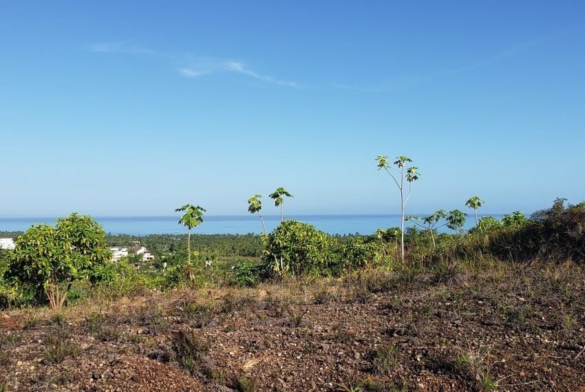 Land in Las Terrenas, Samaná Province, Dominican Republic 2 - 18643229