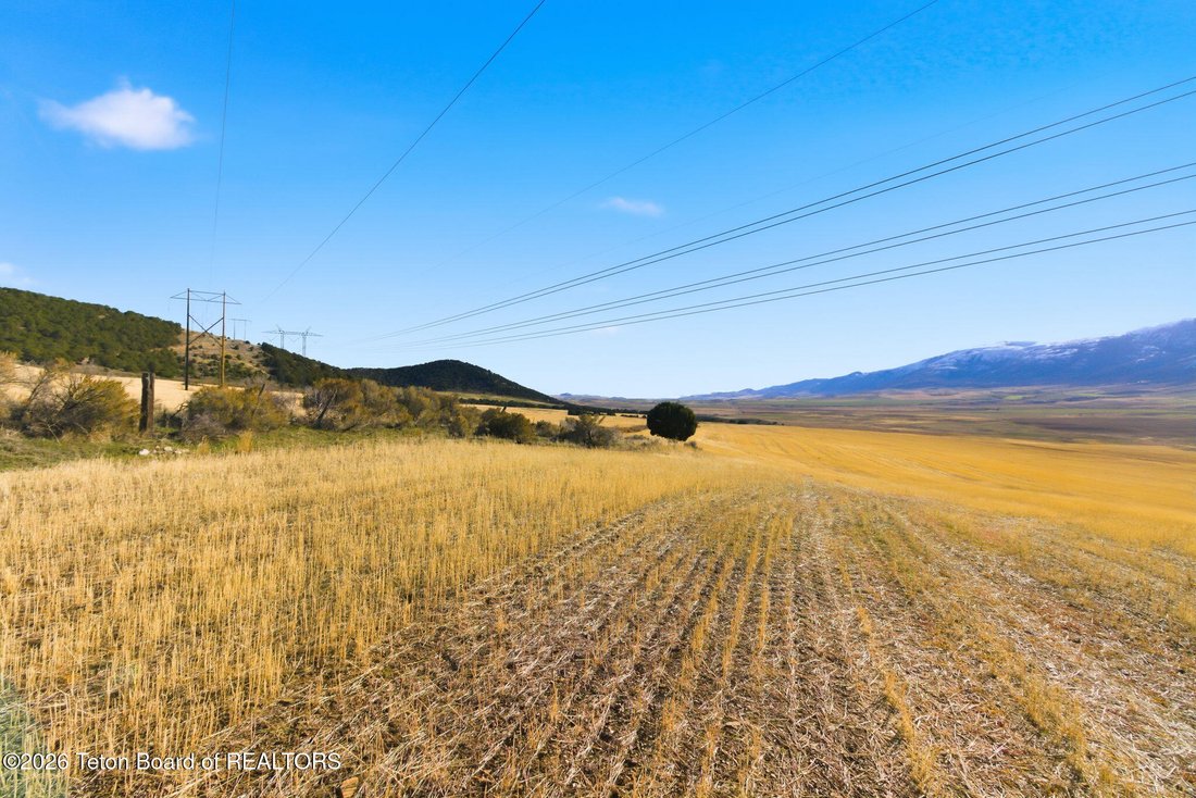 Farm Ranch in Swanlake, Idaho, United States 3 - 18643766