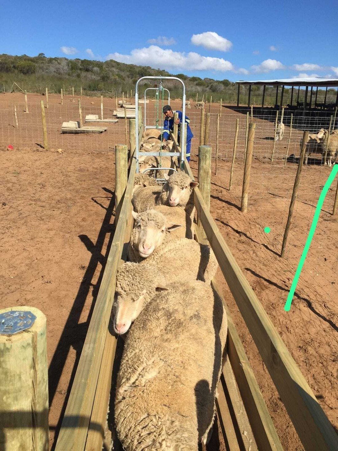 Farm Ranch in Hessequa Local Municipality, Western Cape, South Africa 2 - 18644778