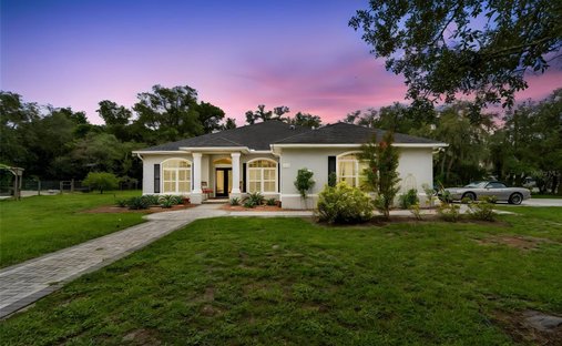 House in Trinity, Florida, United States 1