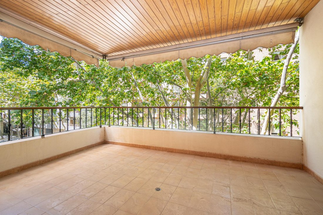 Apartment in Palma, Balearic Islands, Spain 1 - 18647418