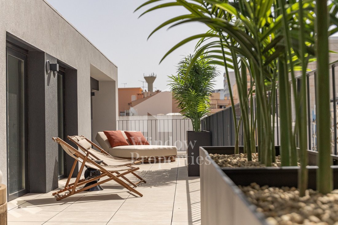 Apartment in Faro (Se e Sao Pedro), Algarve, Portugal 1 - 18647662