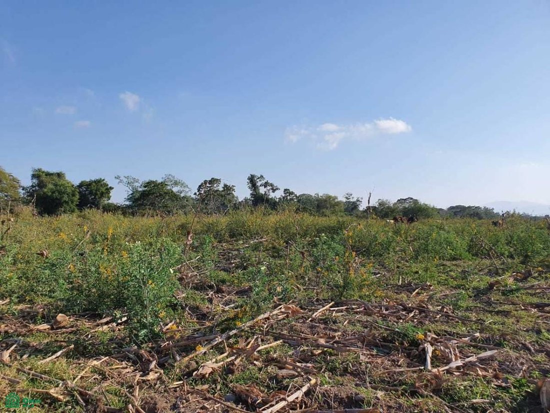 Land in El Chanal, Colima, Mexico 4 - 17811085