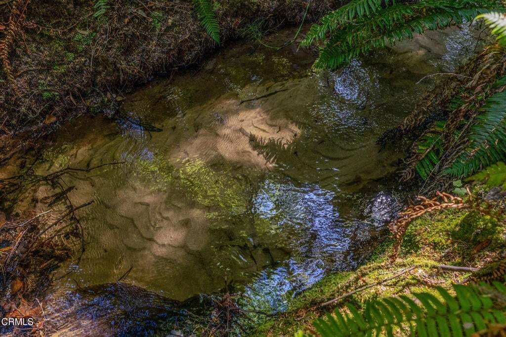 Land in Fort Bragg, California, United States 3 - 18643029