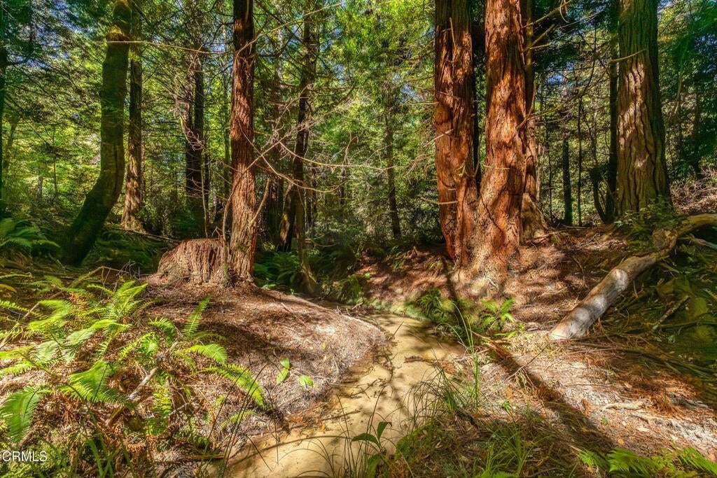 Land in Fort Bragg, California, United States 4 - 18643029