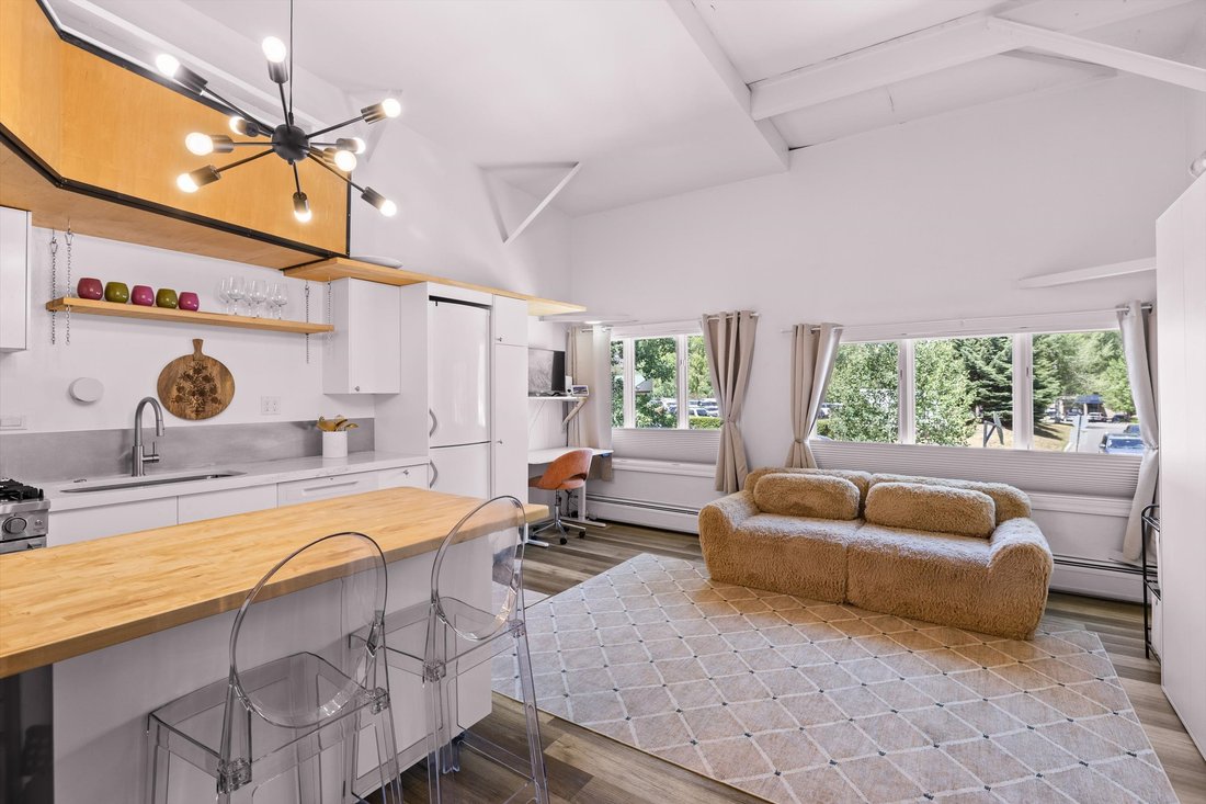 Condo in Aspen, Colorado, United States 1 - 18648614