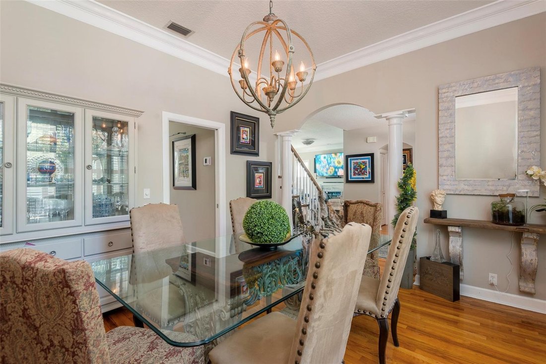 House in Tampa, Florida, United States 5 - 18646345