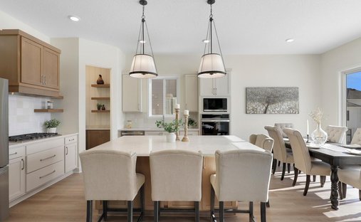 House in Blaine, Minnesota, United States 1