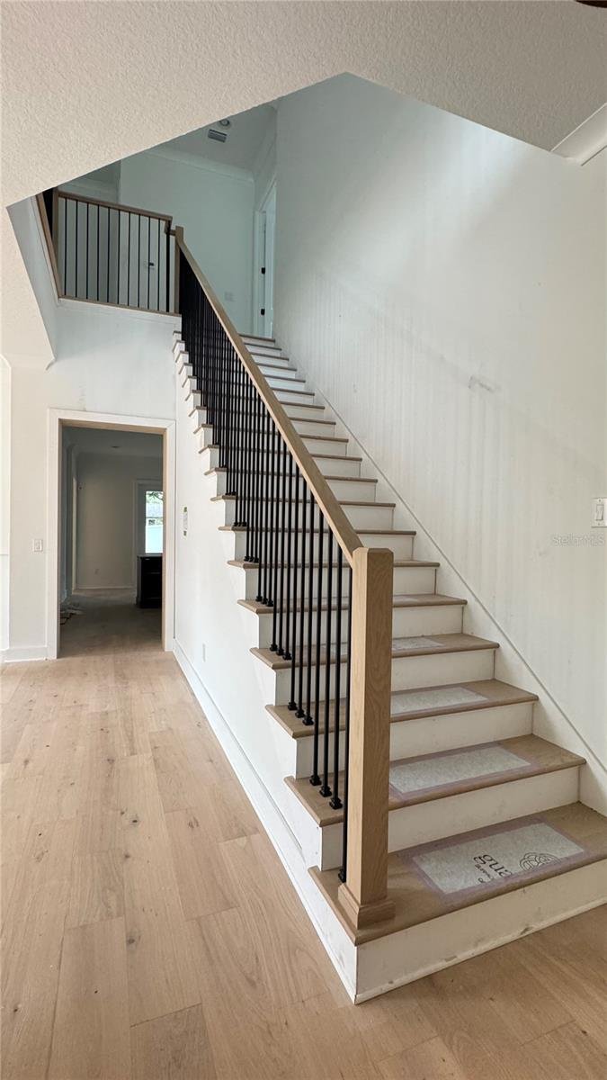 House in Tampa, Florida, United States 5 - 17882510