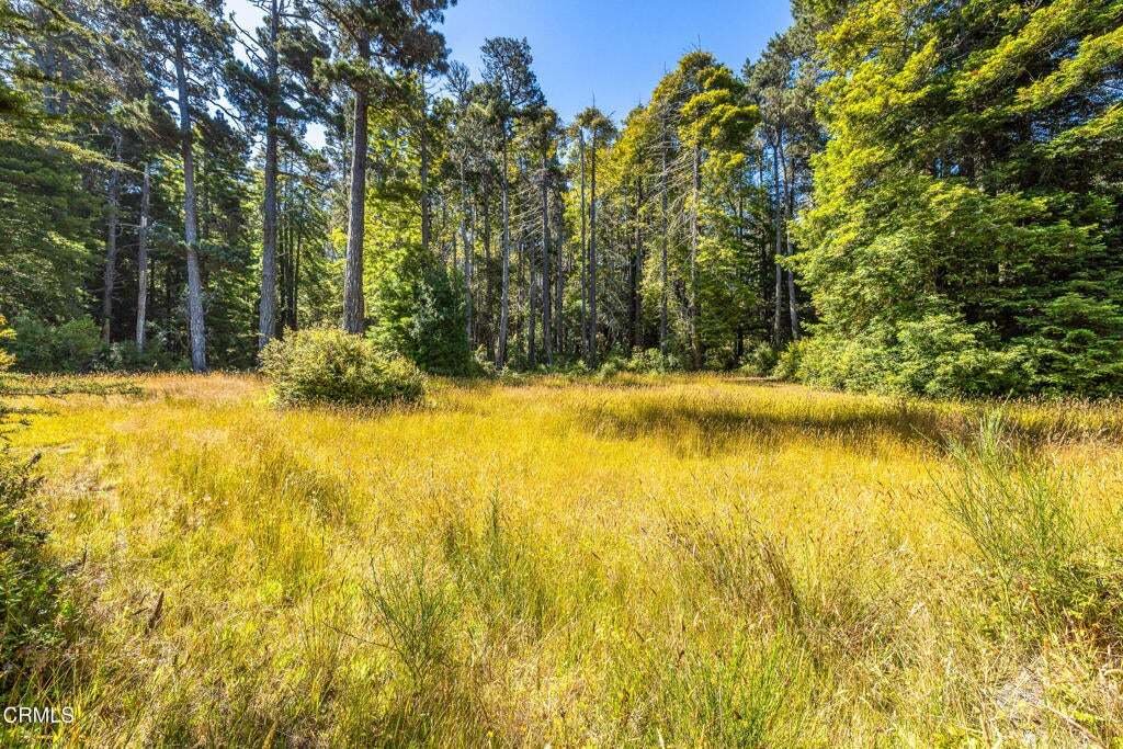 Land in Fort Bragg, California, United States 2 - 18643029