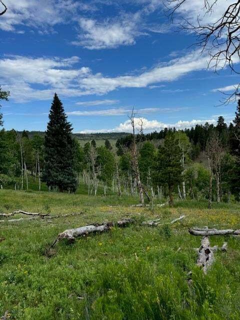 Land in Placerville, Colorado, Vereinigte Staaten 5 - 14435219