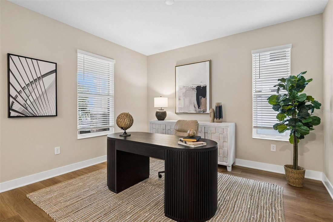 House in Tampa, Florida, United States 4 - 17603868