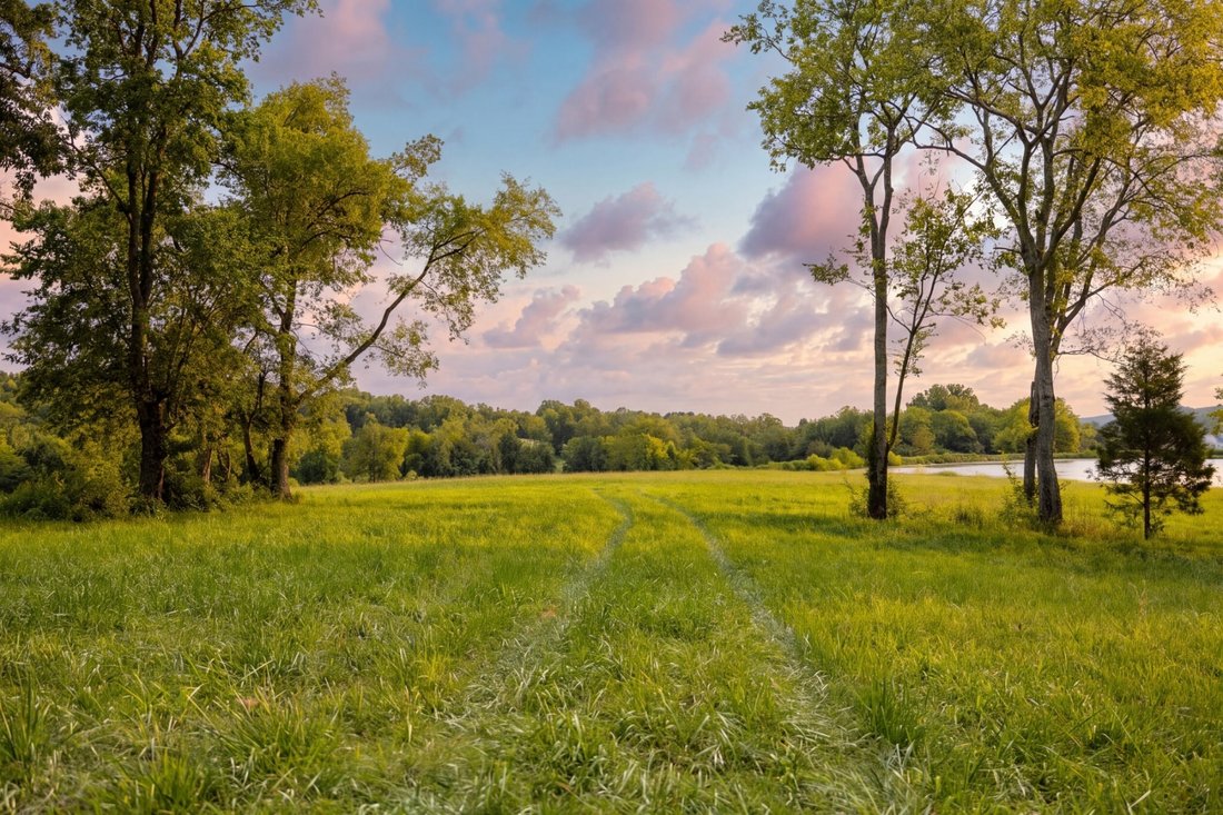Terreno en Franklin, Tennessee, Estados Unidos 1 - 18570302