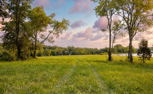 Land in Franklin, Tennessee, United States 1