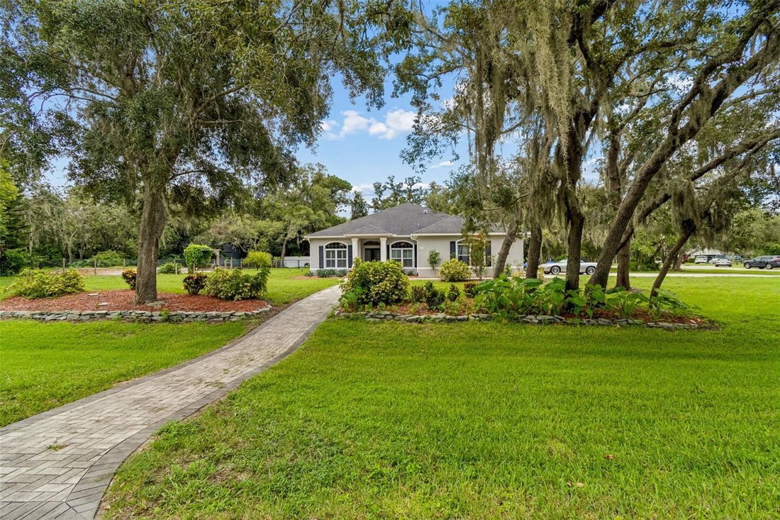 House in Trinity, Florida, United States 2 - 18642247