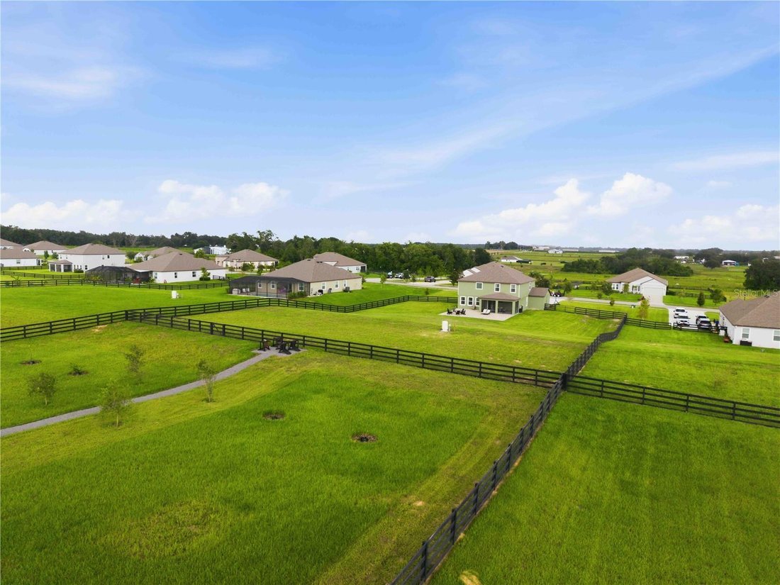 House in Thonotosassa, Florida, United States 2 - 18646854