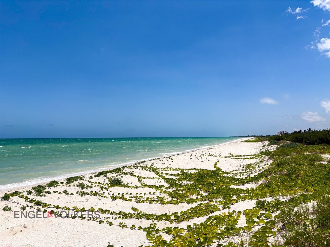 Land in Sisal, Mexico 1 - 18643387