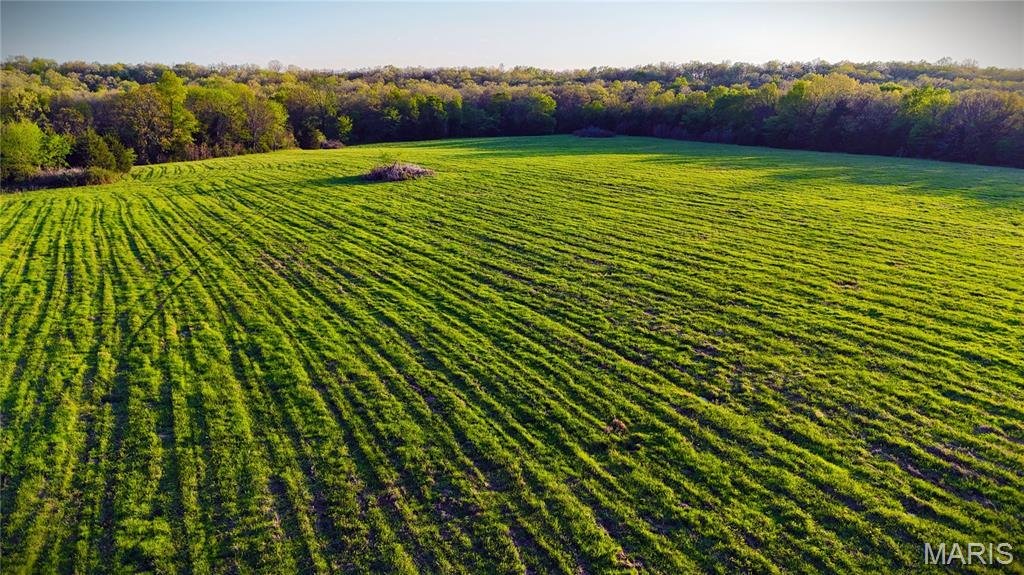 Land in Crocker, Missouri, United States 1 - 18646762