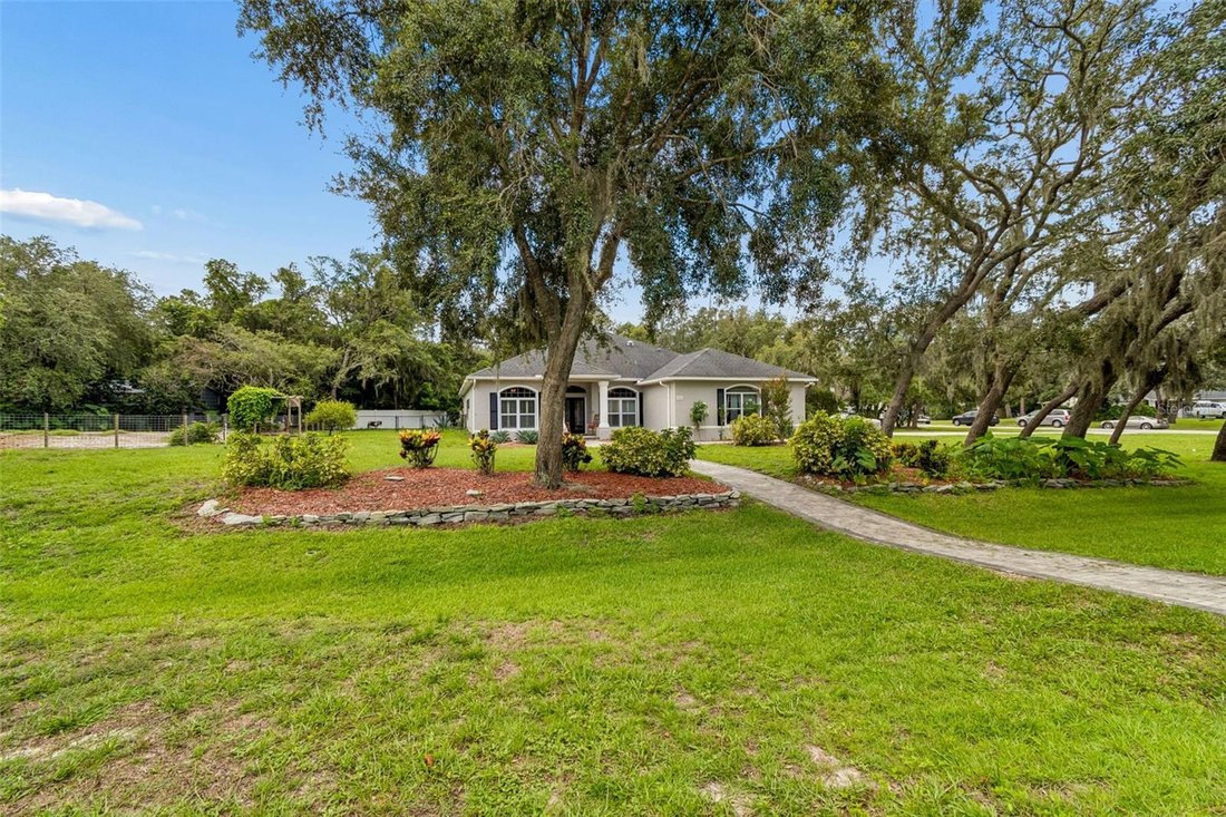 House in Trinity, Florida, United States 3 - 18642247