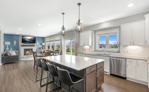 House in Otsego, Minnesota, United States 1