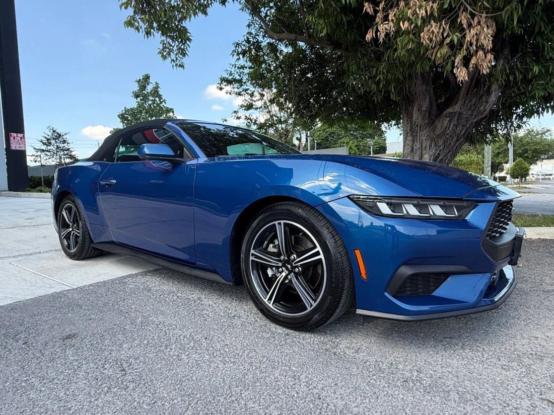 Cabriolet in Miami, FL, United States 3 - 17825621