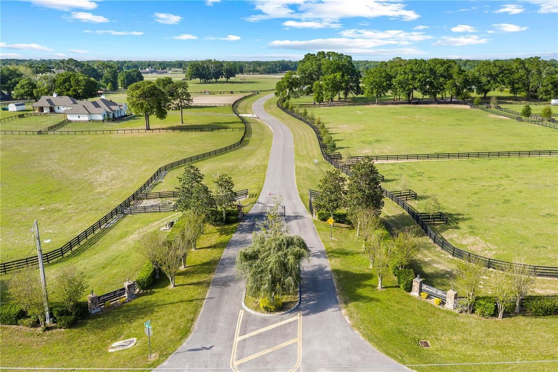 Farm Ranch in Reddick, Florida, United States 1 - 18642799